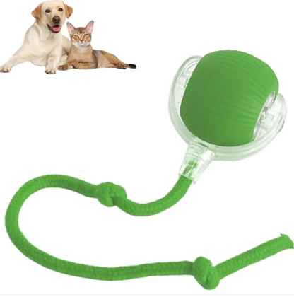 Smart Auto-Rolling Pet Ball — Interactive Electronic Toy for Dogs & Cats