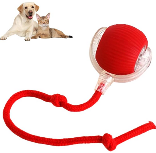 Smart Auto-Rolling Pet Ball — Interactive Electronic Toy for Dogs & Cats