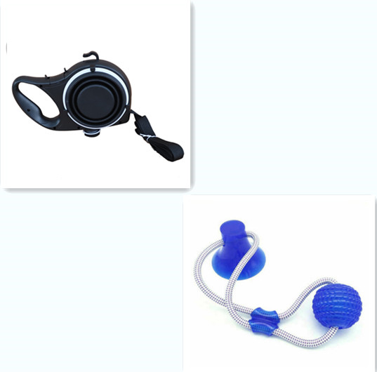 Pet Walk Bundle — Portable Water Bottle, Collapsible Cup & Dog Leash Set