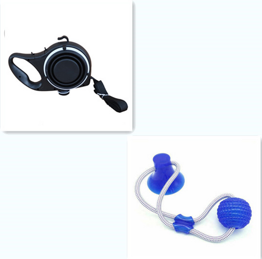 Pet Walk Bundle — Portable Water Bottle, Collapsible Cup & Dog Leash Set