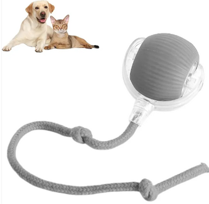 Smart Auto-Rolling Pet Ball — Interactive Electronic Toy for Dogs & Cats